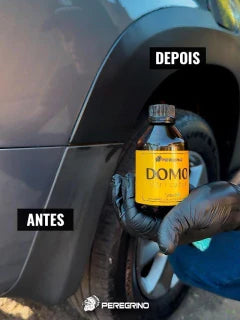 🛡️ Domo Vitrificador – Proteção para Plásticos